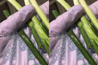 中國蔥洗出藍綠色水！網憂邊境檢查預算被藍白砍恐有食安危機