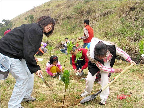 農友植樹做碳交易環局籲審慎 地方 自由時報電子報