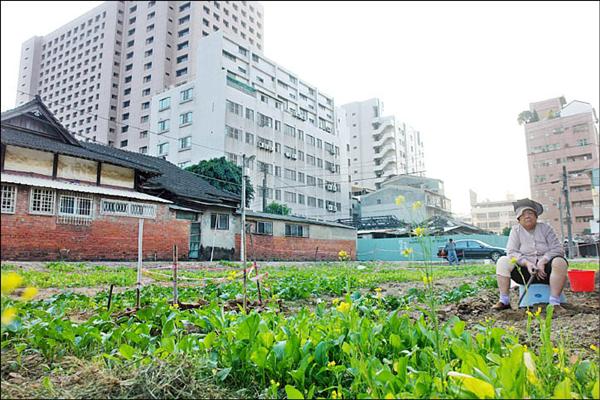 和意路都市農園與背後的大億麗緻酒店相映成趣。 （記者黃文鍠攝）