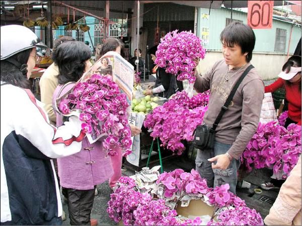 劍蘭成 賤 蘭花農含淚當堆肥 生活 自由時報電子報