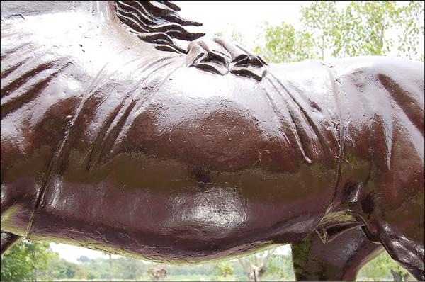 務實馬被重新油漆過，腹部仍隱約可見有個圓形突起狀。（記者王榮祥攝）