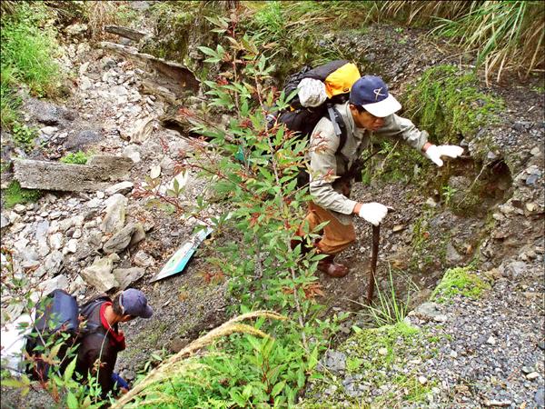 新竹林管處徵才今天報名截止 地方 自由時報電子報