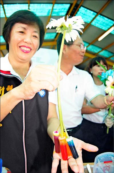 一朵切花染多色技術大突破 地方 自由時報電子報