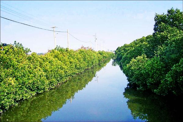 台江國家公園今天掛牌 地方殷盼重現台灣第1條人工運河 地方 自由時報電子報