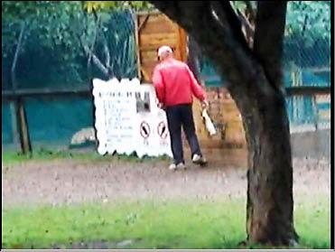 台北愛兔協會兔子保母「小芬」15日拍下影帶，管理員接獲通報前往查看，彎腰直接拎起兔子的雙腿，就像丟垃圾一般把奄奄一昔的兔子帶到隱密處棄置。（記者邱紹雯翻攝自網路）