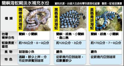 動物奇譚 學者大發現3海蛇喝淡水 生活 自由時報電子報