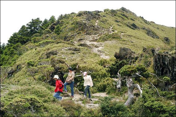 石門山的坡度緩和，一般遊客攻頂相當容易。（記者游太郎攝）