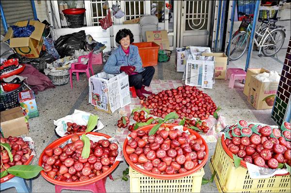 林邊鄉新興路蓮霧街聚集了二十多戶直銷農民，鮮採的蓮霧讓消費者可以選購到便宜、品質又好的蓮霧。（記者葉永騫攝）