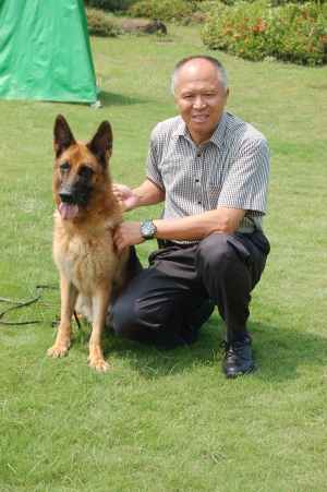 中埔鄉民蘇文宏愛德國狼犬成痴，除寄養在德國的「瑞猛」於今年「德國聯邦狼犬繁殖冠軍展」拿下冠軍外，在家中飼養的母狼犬「帕尼亞」，也曾獲得世界狼犬大賽第二名。(記者謝銀仲)