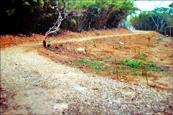 清水花園villa 被爆濫墾山坡地 地方 自由時報電子報
