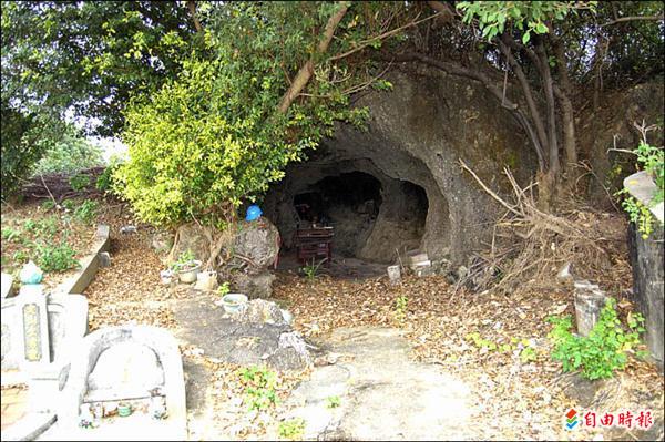 《林園傳奇》 蟾蜍驅蚊蟲 「石」在不見形 - 地方 - 自由時報電子報