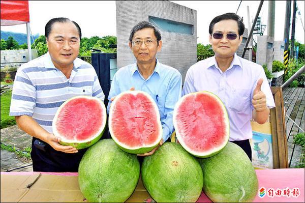 玉溪農會昨天舉辦西瓜節，花蓮農改場場長黃鵬（中）、玉溪農會理事長陳桂山（左）、總幹事彭子南（右）擔任玉里西瓜代言人。（記者花孟璟攝）