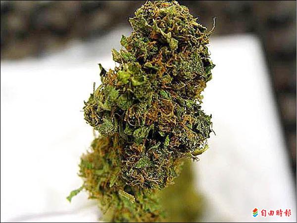 美籍華裔男走私ak47大麻花 社會 自由時報電子報