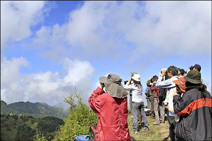 上玉山賞鷹麟趾山頂視野好 地方 自由時報電子報