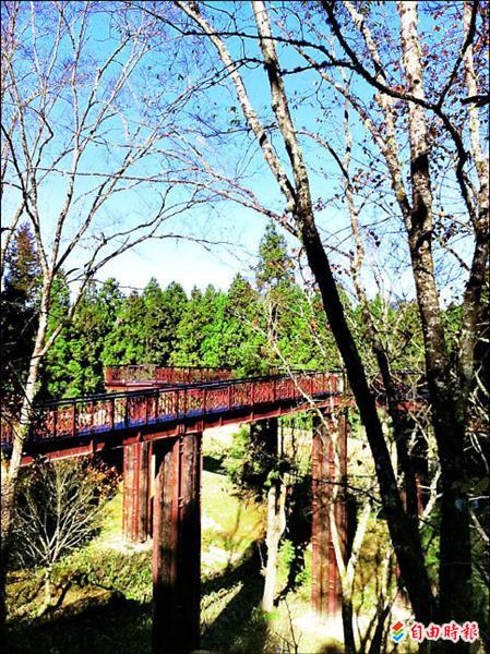 「天空步道」橫亙沼平公園、全台海拔最高且可提供身障人士使用、全長176.7公尺的無障礙高空步道，利用原有的自然地形施工，步道與地面最大高低落差甚達14公尺。（記者謝銀仲攝）