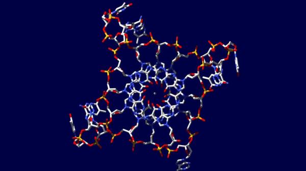 英國科學家新發現的DNA四螺旋結構 (取自gizmodo.com)。