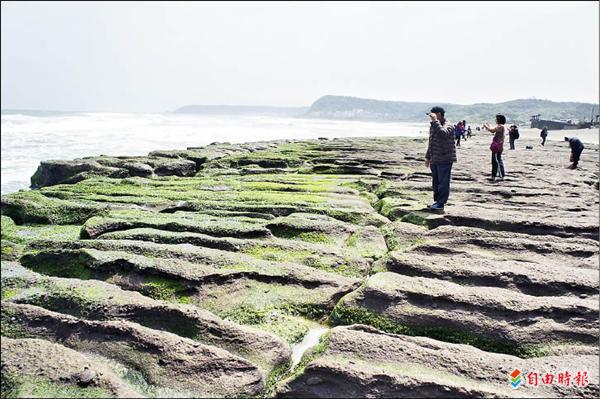 石門老梅綠石槽為全台唯一特殊海岸景觀，民眾質疑人為踩踏影響，恐破壞其生長。（記者賴筱桐攝）