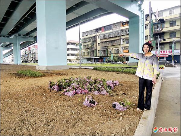 新莊中正路至瓊林路段 台65線橋下設停車場有譜 地方 自由時報電子報