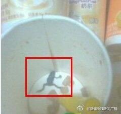 中國河南一名女童喝奶茶，卻在杯底發現「青蛙」。（圖擷取自網路）