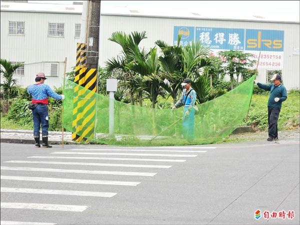 花蓮市公所清潔隊憂心割草時彈起的碎石砸傷路人，用護網圍住割草人員並跟著移動。（記者王錦義攝）