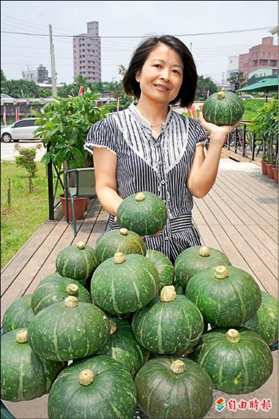 三芝新特產 栗子南瓜口感綿密好滋味 地方 自由時報電子報