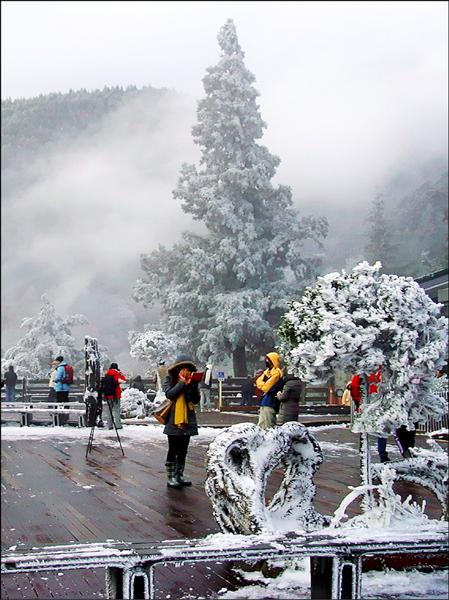 太平山26日深夜降下今年冬天首場瑞雪，不少遊客昨天趁著週休2日假期趕上山賞雪景，山莊今晚訂房全滿。昨天雖然未再下雪，但樹梢仍結霜，遠山也是白茫茫一片，恰似北國風情。
（圖：羅東林管處太平山莊提供／文：記者楊宜敏）