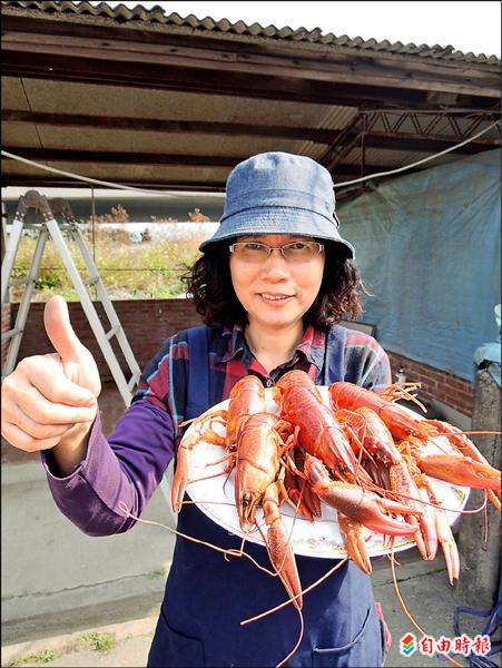 釣澳洲龍蝦、吃澳洲龍蝦，目前是很新鮮的活動。（記者孟慶慈攝）