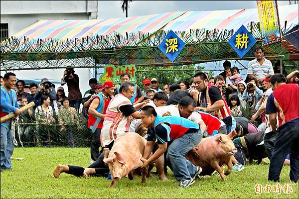 去年延平鄉舉辦全鄉射耳祭前，恰巧是動保團體點名抓豬競賽是虐待動物行為，延平鄉認為動保團體應尊重原住民傳統文化，堅持繼續辦理。（記者王秀亭攝）
