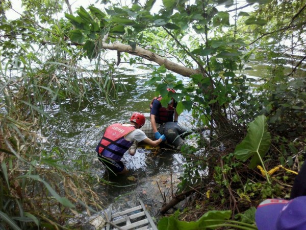 消防人員涉水將大溪鎮員林路巷弄內池塘發現的浮屍打撈上岸。（記者薛翰駿翻攝）