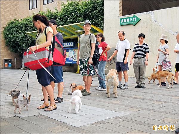 桃園家犬貓死因狗心臟血管疾病貓腎衰竭居首 地方 自由時報電子報