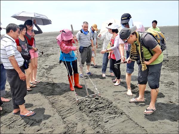 外傘頂洲生態受人為干擾嚴重，雲嘉南濱海國家風景區管理處將管制野生文蛤採集。（議員蔡岳儒提供）