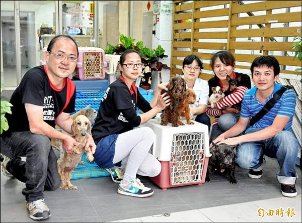 台灣動物緊急救援小組成立「高雄災區流浪動物緊急救援平台」，將整合資源，援救災區流浪貓狗。（記者蘇金鳳攝）