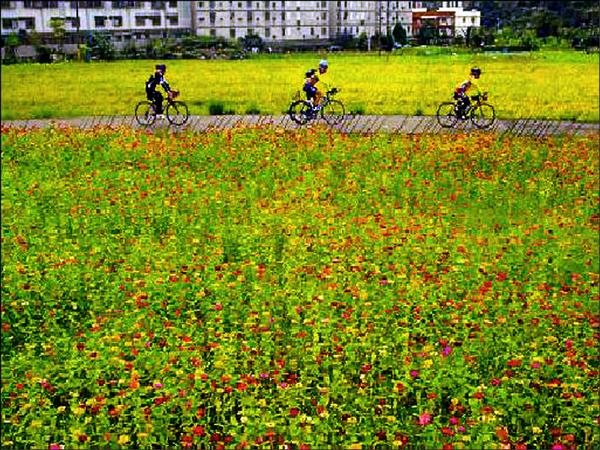 楓樹坑遊憩系統有美麗的田園地景。(觀光旅遊局提供) 楓樹坑遊憩系統有美麗的田園地景。(觀光旅遊局提供)
