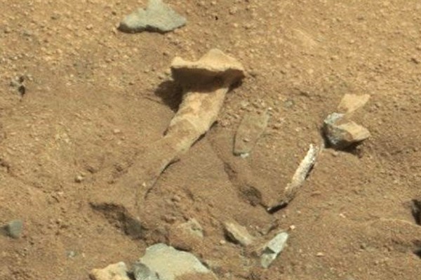 「好奇號」上個月回傳一張疑似是「大腿骨」的照片，引起外星人愛好者們一陣熱議。（圗取自METRO）