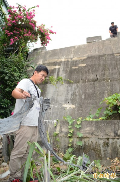 男子陳勝凱買鳳梨酥，連人帶車掉進8公尺深的芭樂田，車子翻了一圈，毫髮無傷，圖為他重返現場撿拾車體殘骸。（記者顏宏駿攝）