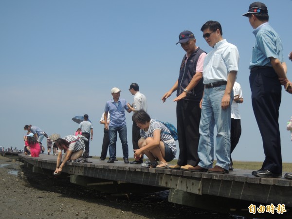 郝龍斌參觀高美濕地。（記者張軒哲攝）