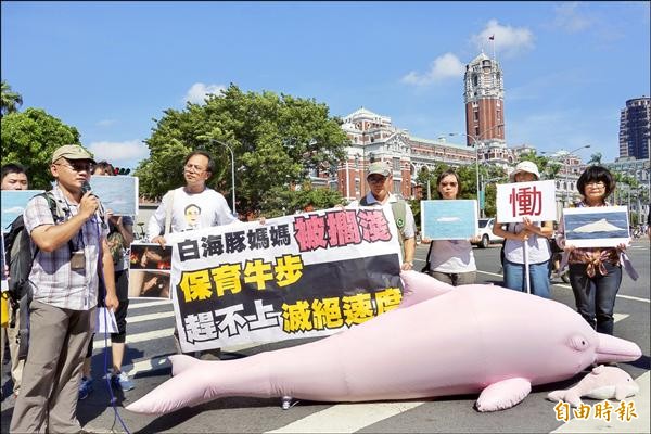 台灣媽祖魚保育聯盟理事長陳秉亨（左一）今指出，白海豚媽媽「畫眉」疑似因漁業誤捕而擱淺死亡，要求政府立刻通過「中華白海豚野生動物重要棲息環境」並公告保育區域，並提出漁業配套措施。（記者蔡穎攝）