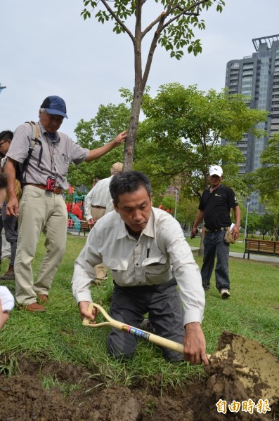 日天皇樹醫師山下得男來台為彭淮南種下的6棵樟樹會診。（記者盧姮倩攝）