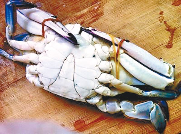 中國竟有無良黑心商人將死蟹蟹腳剪下，綁在螃蟹腳上增加重量，再以翻倍的價格販售牟利。（圖擷取自網路）