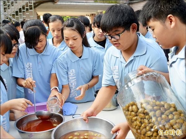 醃製了296天的橄欖開封，學生們合力分裝。（記者吳俊鋒攝）