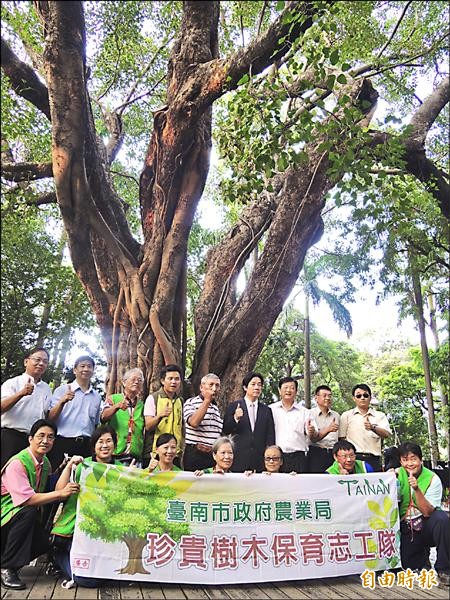 市府為台南公園一一三歲菩提樹舉辦慶生會，宣揚護樹愛樹理念。（記者洪瑞琴攝）