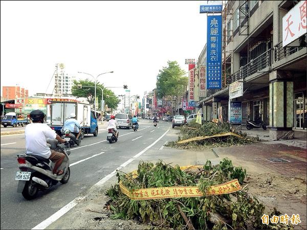 北安路一段有五棵樹不翼而飛，現場只剩殘枝落葉。（記者蔡文居攝）