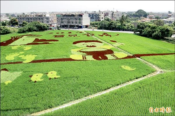 台南好米嘉年華登場，「看見台南」彩繪稻田吸引民眾參觀。（記者王涵平攝）