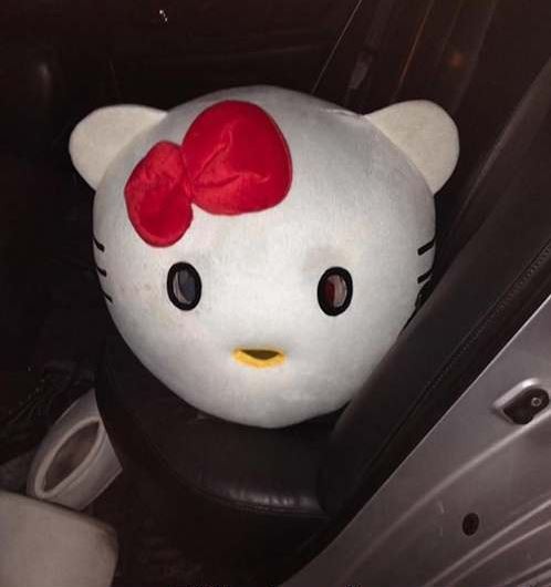 吉普森車上的Hello Kitty頭罩。（圖擷取自Gorham Police Department臉書專頁）