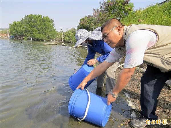 為抗議政府戴奧辛污染案照護經費沒著落，魚塭又不准復養，漁民到停養的魚塭放養魚苗，以示抗議。（記者蔡文居攝）