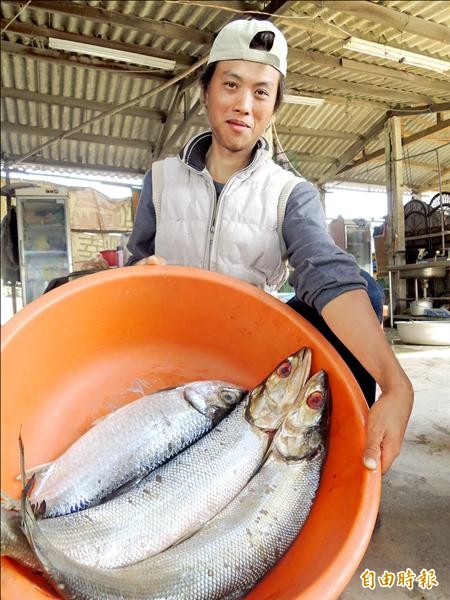 漁民黃豊仁展示捕獲的大尾爛糟、海鰱等漁獲。（記者蔡文居攝）