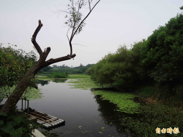 高雄市野鳥學會串連社團推動2015年度新年數鳥活動，邀請民眾到鳥松濕地公園（如圖）等地賞鳥、紀錄生態。（記者黃旭磊攝）