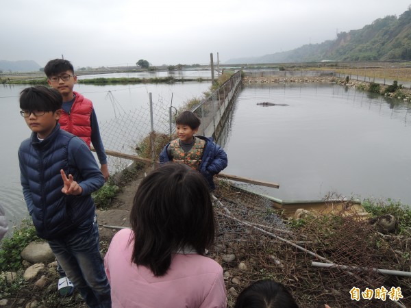 民眾爭相看河馬。（記者張軒哲攝）