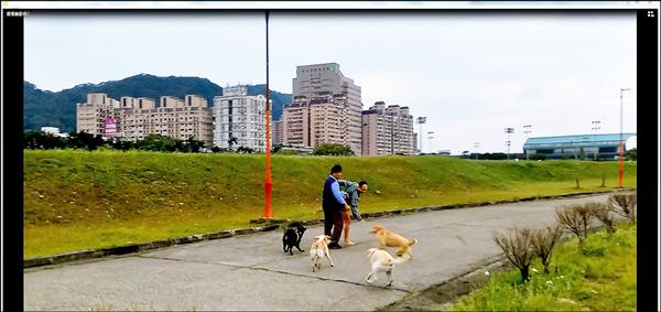 工人蘇克邦不滿險遭犬群咬傷，憤而以鎖喉手推人。（記者吳仁捷翻攝）