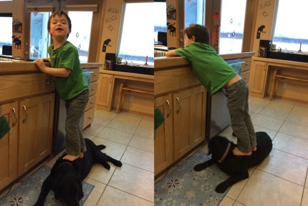 培琳在臉書上po了6歲兒子踩著狗的背洗碗的照片賀新年，引發眾多網友討論。（圖擷取自Sarah Palin臉書）